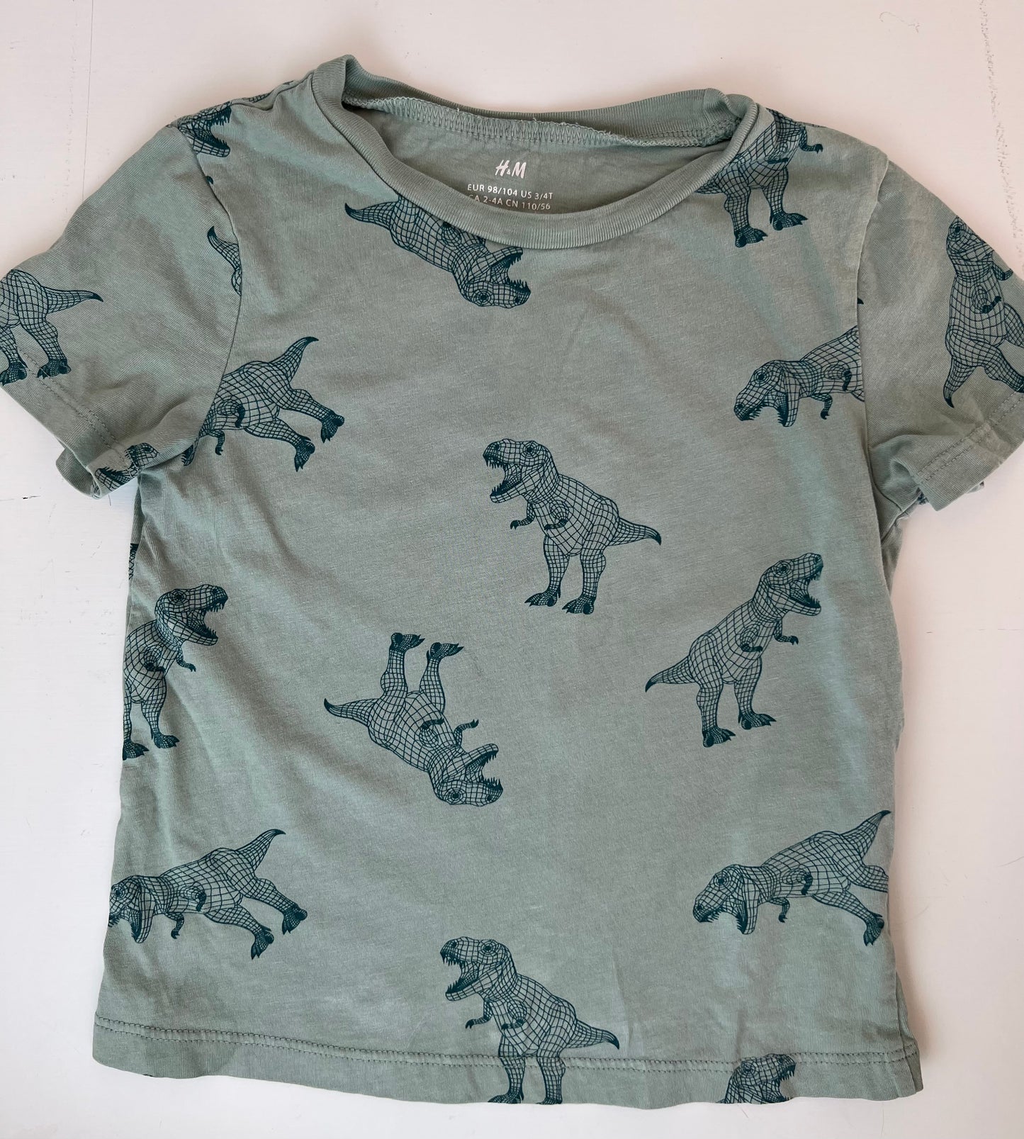 H&M Dino T-Shirt