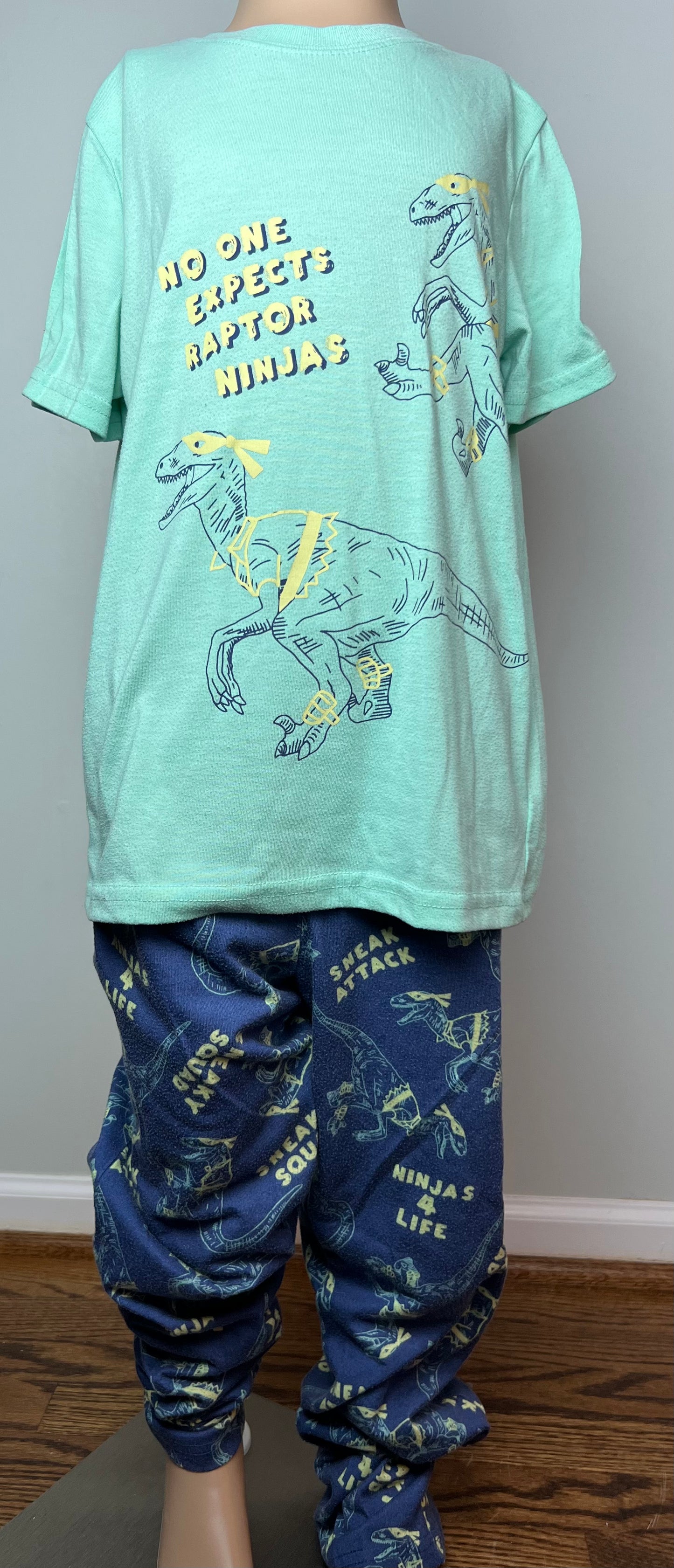 Cat & Jack Dinosaur Ninja Pajama Set