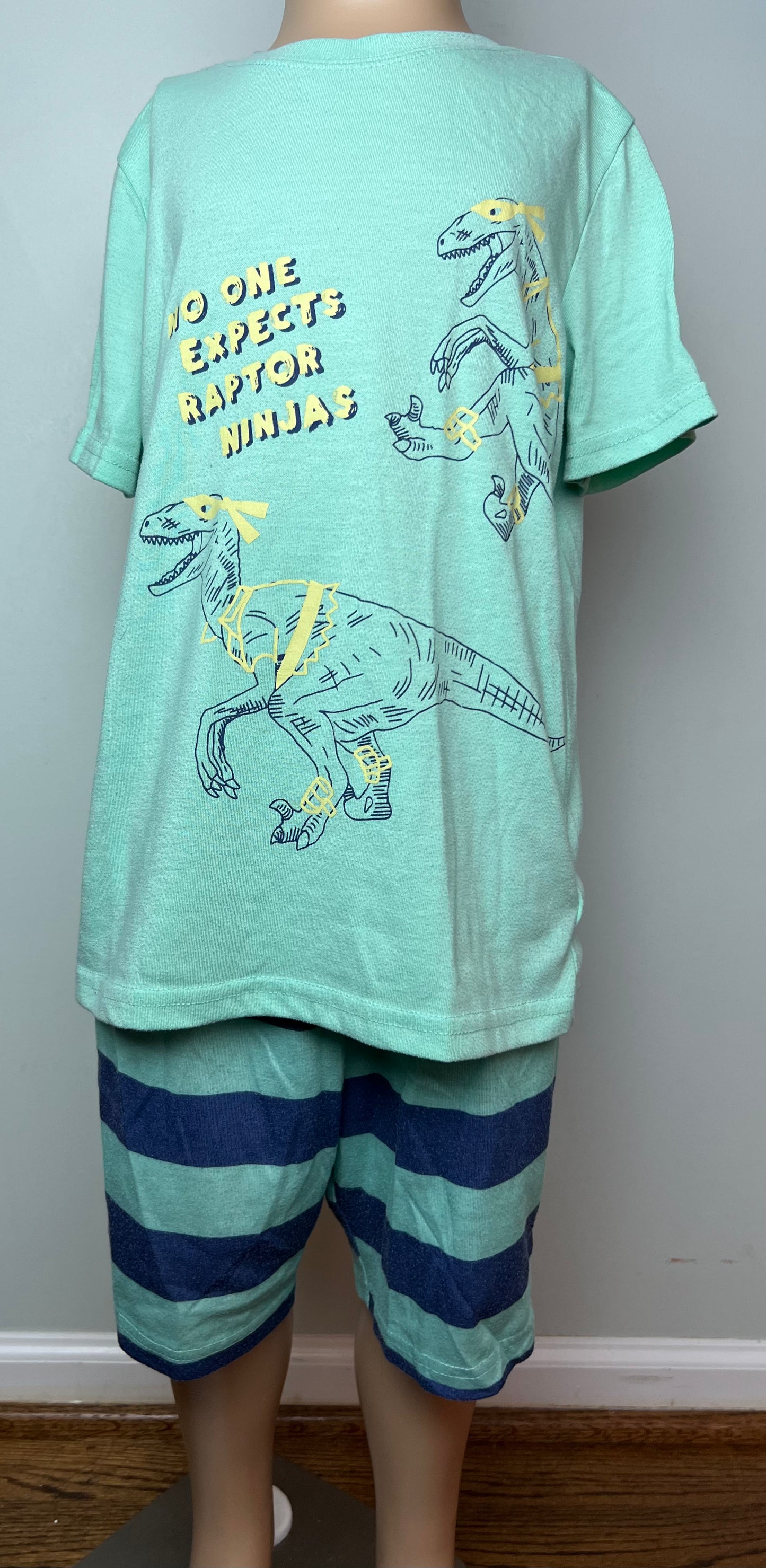 Cat & Jack Dinosaur Ninja Pajama Set