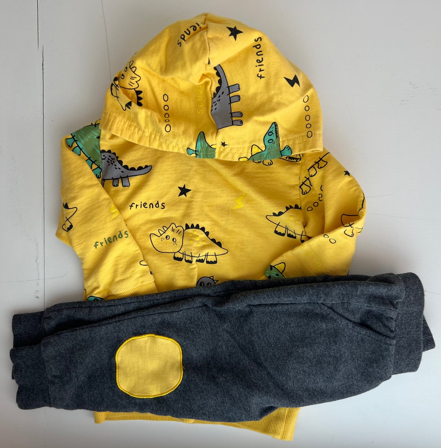 Unknown Dinosaur Hoodie and Sweatpants Set