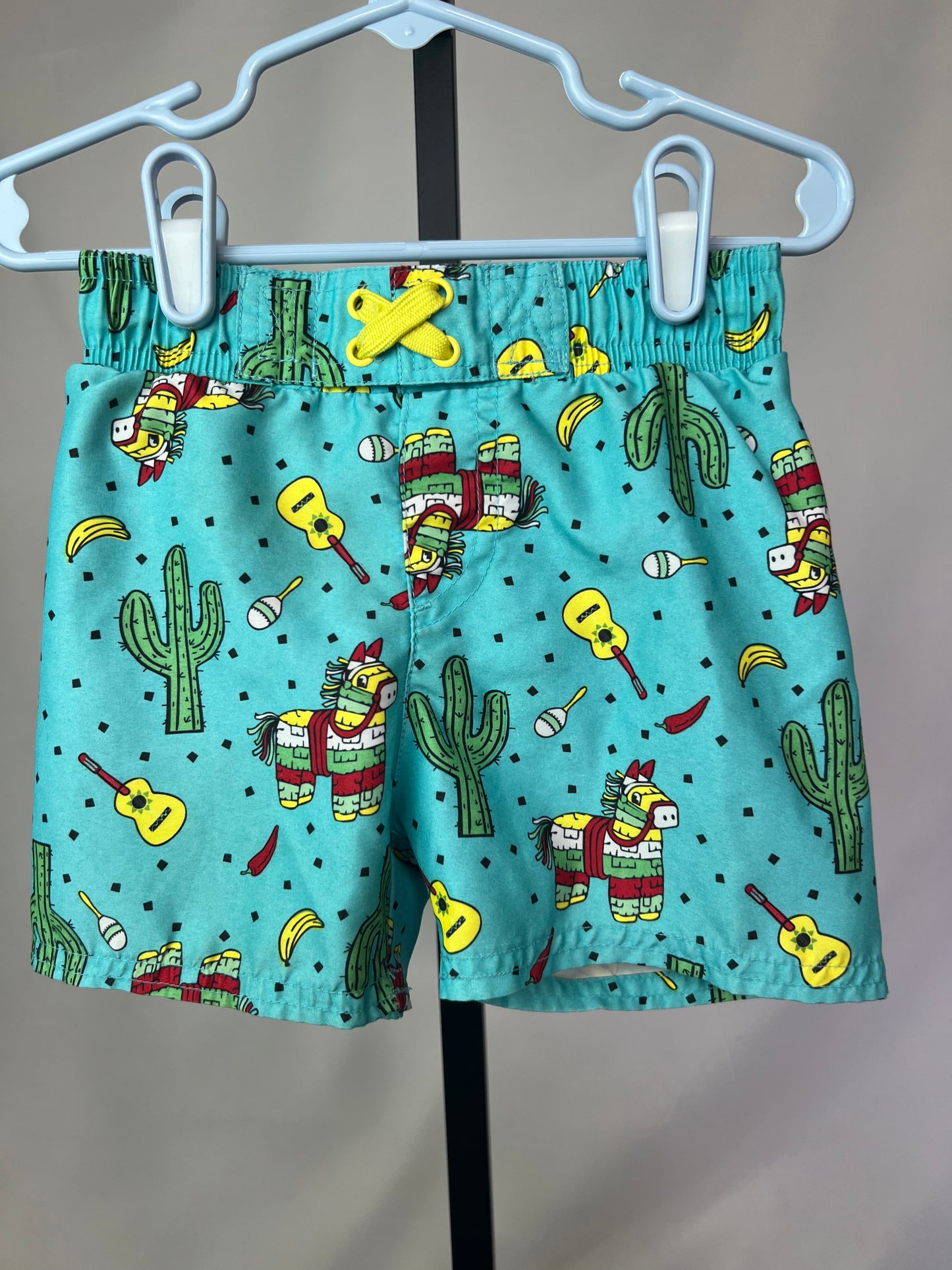 Cat & Jack Southwestern Swim Trunks