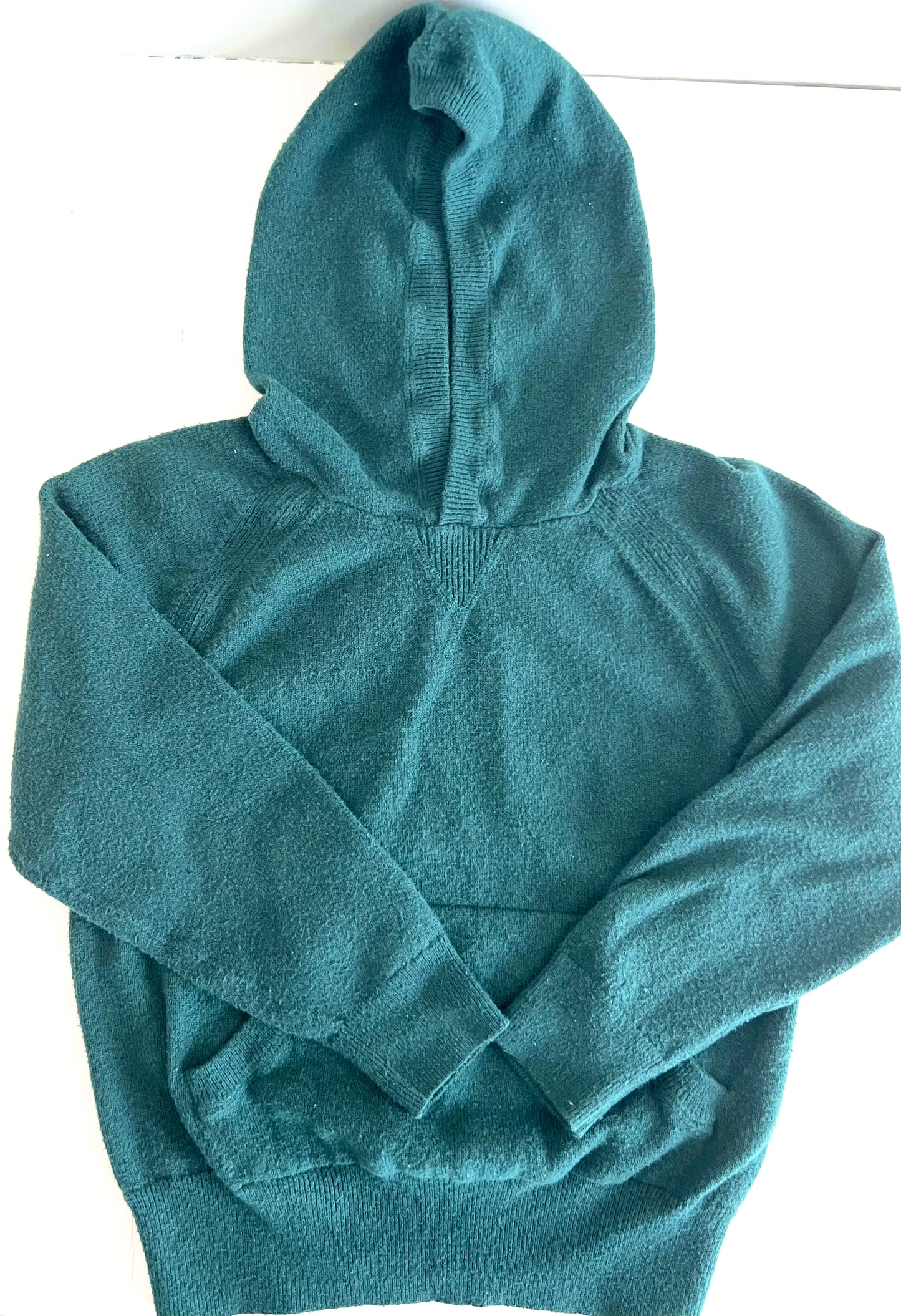 Gap Hooded Sweater