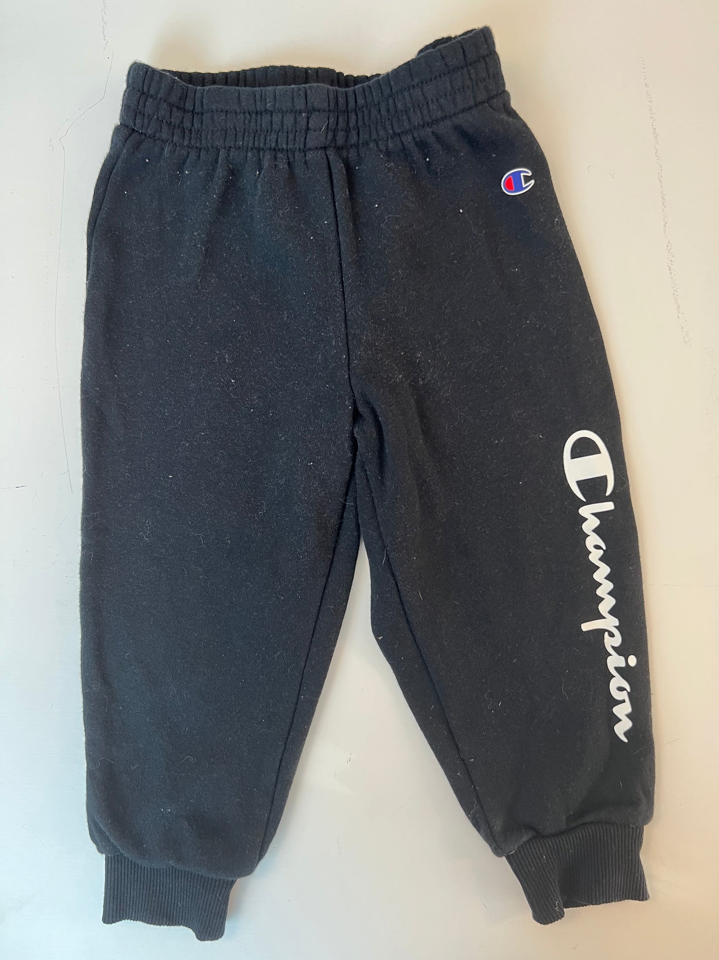 Champion Sweatpants