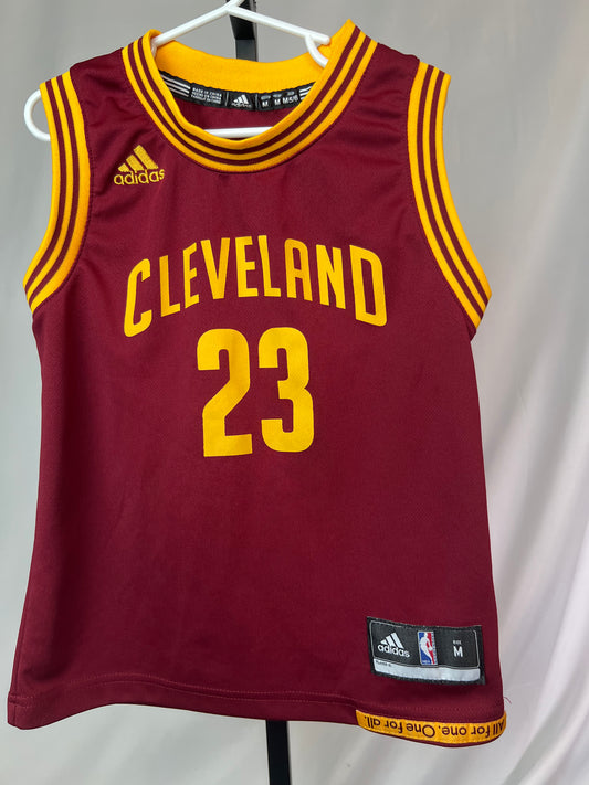 Adidas Lebron James Jersey